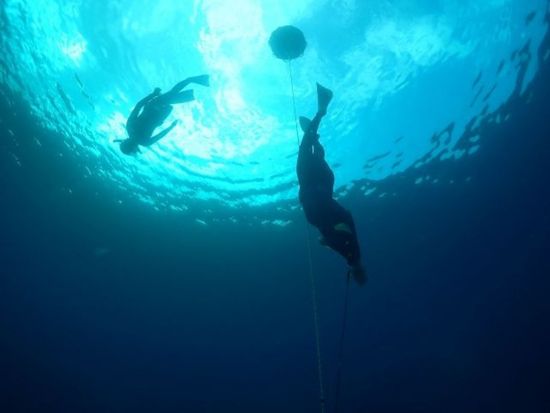 慶良間1日スキンダイビング 初心者大歓迎◎手ぶらで気軽に参加OK ケラマブルーを冒険しよう！＜約7時間／那覇市内送迎無料／那覇市発＞