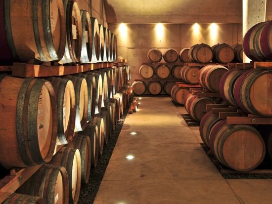 【プライベートツアー】タウラージ ワイナリー訪問ツアー 最高級DOCGワインを試飲＜車＋ガイド貸切／日本語／ナポリ発＞ by Zenzero