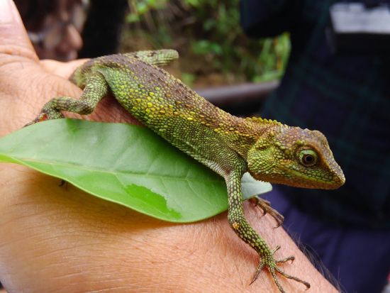 更衣室（エアコン完備）・アロマ香る癒し空間◎少人数制で安心の慶佐次川マングローブカヤック2時間｜写真無料＆ちんすこうお土産付き・漁師ガイド＜東村・やんばる＞