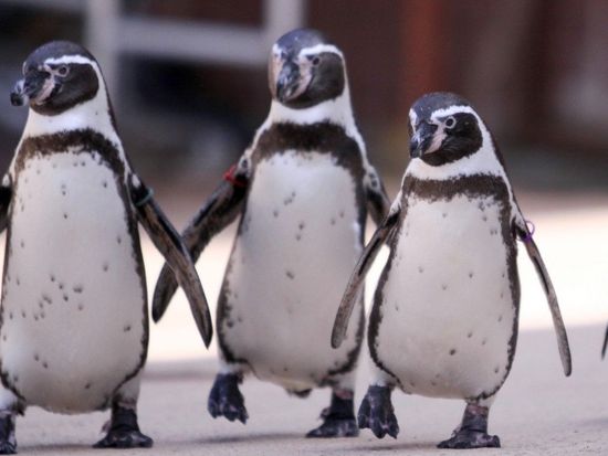 V9GUU_057608d9-f0e6-4d81-9029-a2