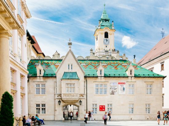 隣国スロバキア観光1日ツアー ブラチスラバ市内観光＋フリータイム＋ドナウ川クルーズ＜英語ガイド／ウィーン発＞