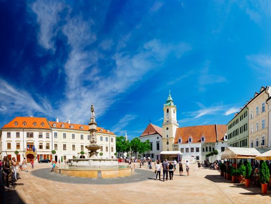 隣国スロバキア観光1日ツアー ブラチスラバ市内観光＋フリータイム＋ドナウ川クルーズ＜英語ガイド／ウィーン発＞