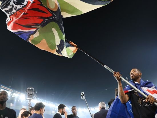 パリ・サンジェルマンFC　リーグアン　サッカー観戦チケット予約手配＜ホームゲーム／パルク・デ・プランス・スタジアム＞