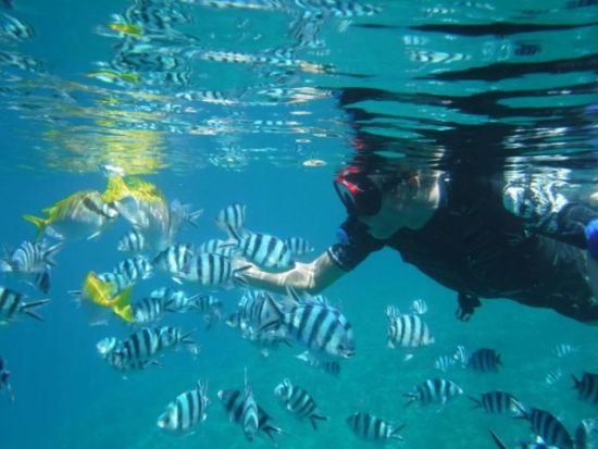 ジェットスキーレンタルツーリング　操舵体験やマーブルやウェイクボード、おさかな餌付け体験など遊び放題ツアー＜180分／津堅島／沖縄マリーナ発＞