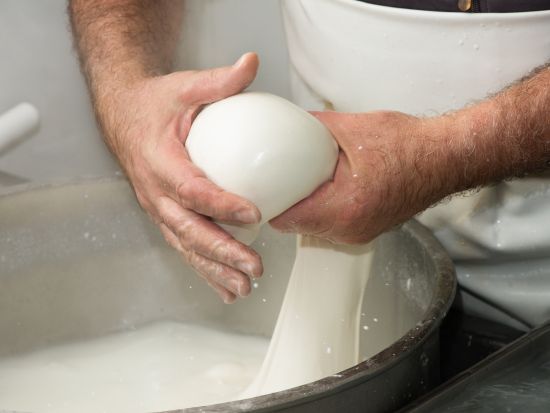 【プライベートツアー】モッツァレラチーズ工場見学ツアー パエストゥムの遺跡見学付き＜車＋ガイド貸切／日本語／ナポリ発＞ by Zenzero