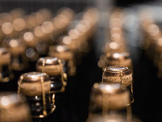 シチリア州　ワイナリー訪問日帰りツアー ＜貸切／現地語ドライバー／試飲付き／パレルモ発＞