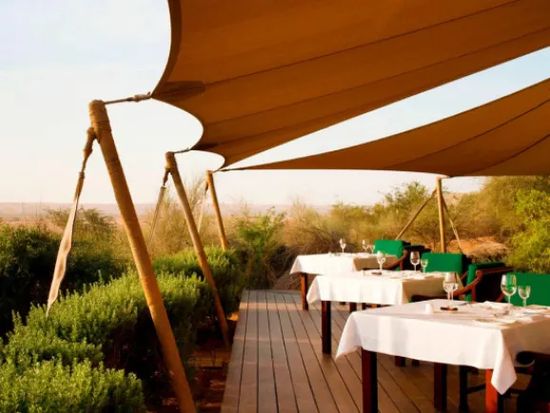 20240705062628_749861654_17151_0