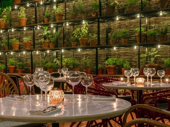 20240513012621_205909579_15933_0