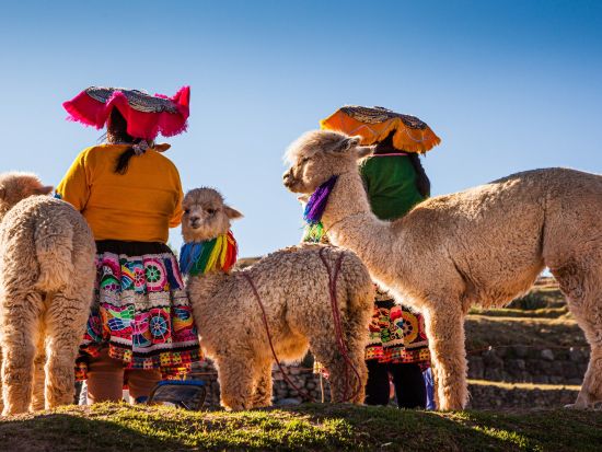 【地球一周の船旅 クルーズご利用者様用 ペルー カヤオ港発着】3泊4日 マチュピチュ・クスコ市内観光・聖なる谷をめぐるツアー ＜日本語ガイド／混載ツアー＞