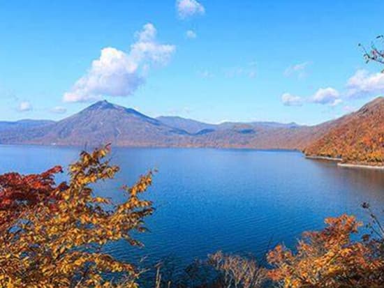 【10/20(日)出発】秋の味覚と紅葉満喫ツアー　苫小牧ホッキまつり・サケのふるさと・支笏湖の旅＜札幌発着：日帰りバス＞