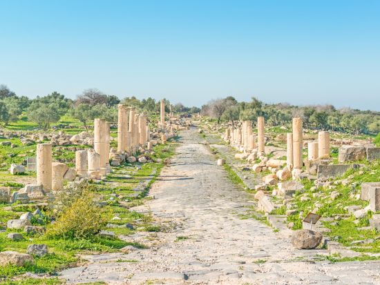 古代ローマ都市遺跡をご案内！ウンム・カイス＋ジェラシュ1日観光＜貸切／英語or日本語／アンマン発着／昼食付＞