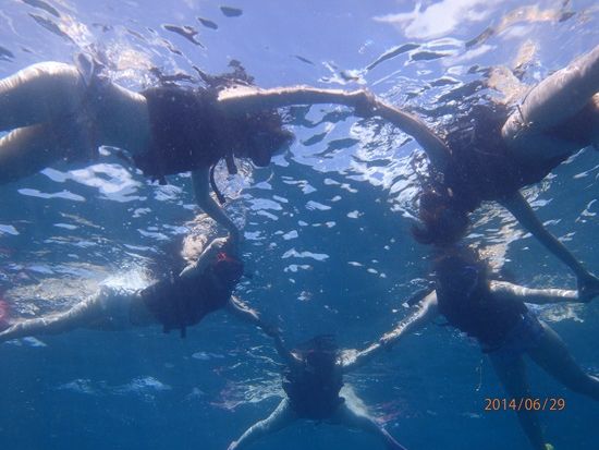 幻の島上陸＋竹富島シュノーケル 人気のプランを一緒に体験できる