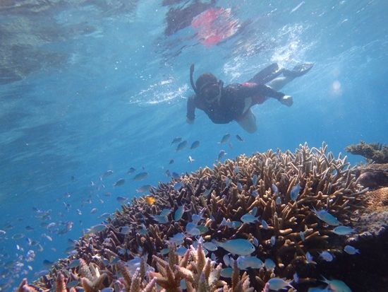 蜀咏悄縲縲・縲・JPG