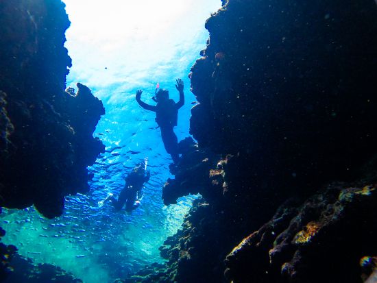 青の洞窟探検＋高確率で会える！ウミガメシュノーケリングツアー 当日予約OK！写真撮影サービス＜2時間／石垣島＞