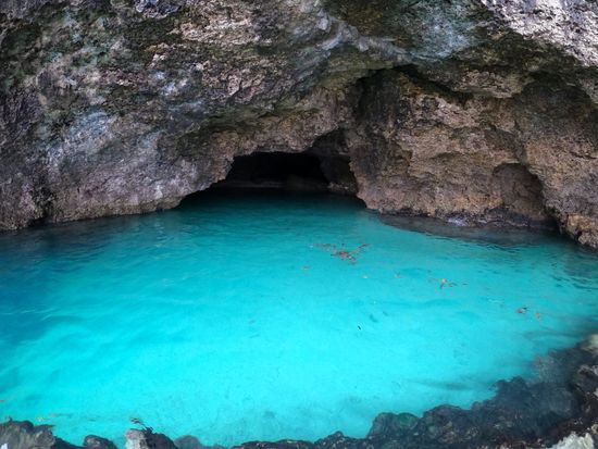 GPTempDownload 6-crop