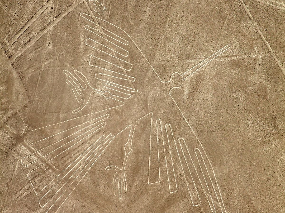 ナスカの地上絵遊覧飛行＋バジェスタス島＋ワカチナオアシスを巡る1泊2