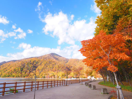 【10/20(日)出発】秋の味覚と紅葉満喫ツアー　苫小牧ホッキまつり・サケのふるさと・支笏湖の旅＜札幌発着：日帰りバス＞