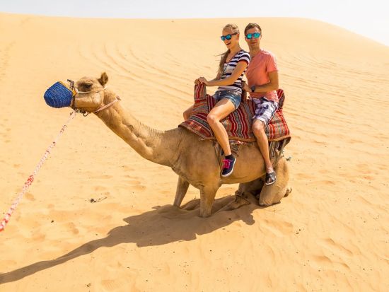 モーニング・デザートサファリ　砂丘ドライブ＋ラクダ乗り体験＋サンドボード＜午前中／送迎付き／アブダビ発 ＞by MAGIC ARABIA