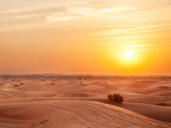 モーニング・デザートサファリ　砂丘ドライブ＋ラクダ乗り体験＋サンドボード＜午前中／送迎付き／アブダビ発 ＞by MAGIC ARABIA