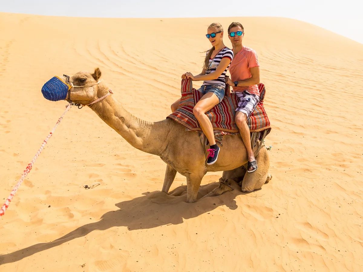 デザートサファリ 砂丘ドライブ＋BBQディナー＋ラクダ乗り体験＋サンド