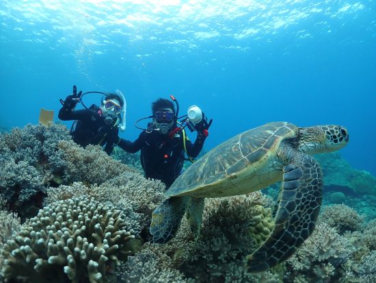 PADIオープンウォーターダイバー取得コース 選べる2コース！予定に合わせて気軽にライセンスを取得しよう！＜送迎付／沖縄本島＞