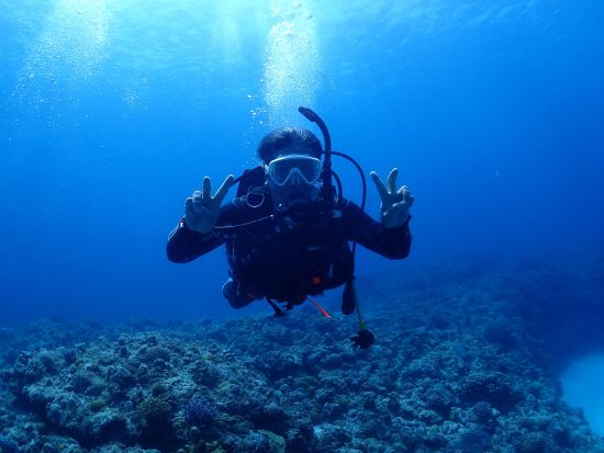 PADIオープンウォーターダイバー取得コース 選べる2コース！予定に合わせて気軽にライセンスを取得しよう！＜送迎付／沖縄本島＞