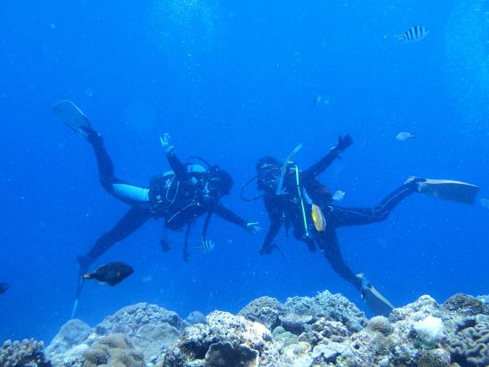 【Discover Scuba Diving】初めての体験ダイビングにオススメ◎事前学習でゆっくり丁寧にサポート！＜送迎付／沖縄本島＞