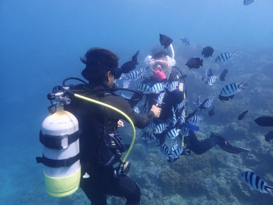 【Discover Scuba Diving】初めての体験ダイビングにオススメ◎事前学習でゆっくり丁寧にサポート！＜送迎付／沖縄本島＞