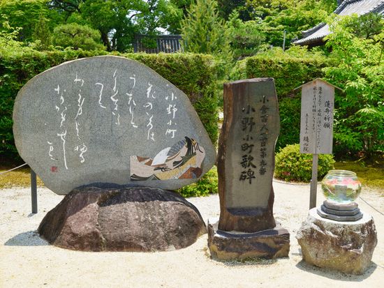 pixta_94368450_隨心院 蓮弁祈願と小野小町歌碑