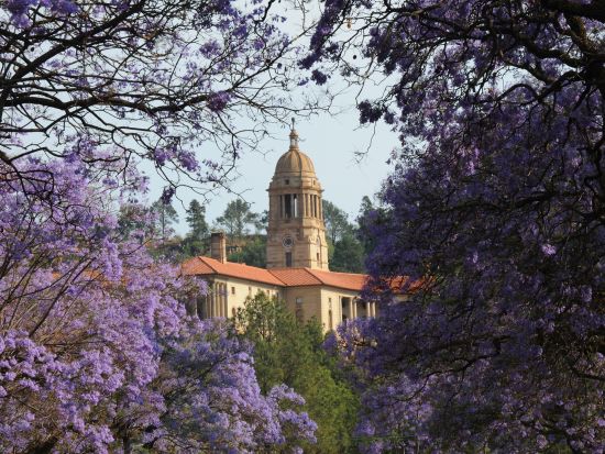 プレトリア半日観光ツアー　ポール・クルーガーの家＆フォールトレッカー記念碑入場観光　季節限定でジャカランダ鑑賞も！＜英語／ヨハネスブルグ発＞