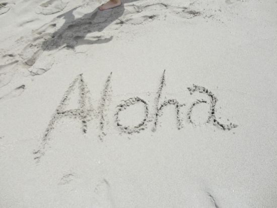 コオリナ地区送迎シャトルサービス　コオリナでのフリータイム約5.5時間！＜英語または日本語ドライバー／ワイキキ発＞