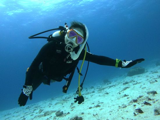 ファンダイビング 選べるビーチ・ボートエントリー！お好みのポイントで水中世界を冒険しよう！＜送迎付／沖縄本島＞