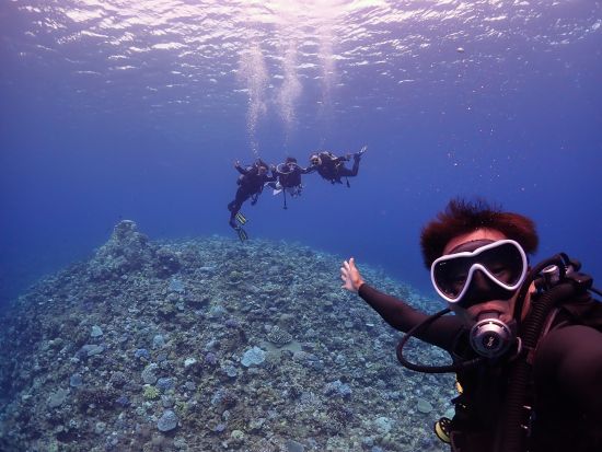 ファンダイビング 選べるビーチ・ボートエントリー！お好みのポイントで水中世界を冒険しよう！＜送迎付／沖縄本島＞