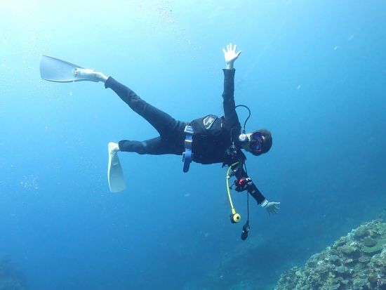 ファンダイビング 選べるビーチ・ボートエントリー！お好みのポイントで水中世界を冒険しよう！＜送迎付／沖縄本島＞