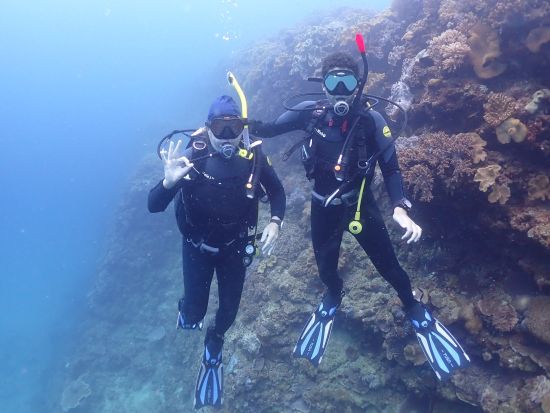 ファンダイビング 選べるビーチ・ボートエントリー！お好みのポイントで水中世界を冒険しよう！＜送迎付／沖縄本島＞