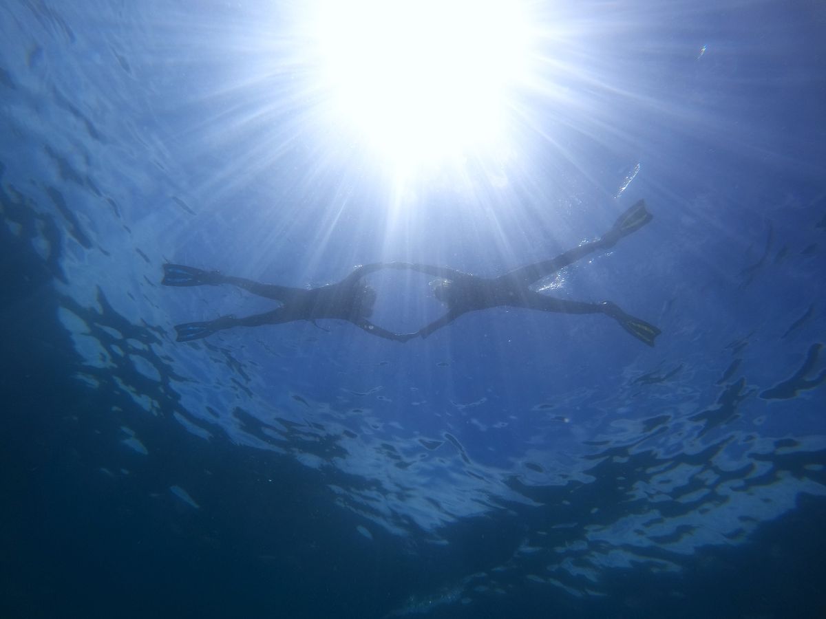 完全少人数制シュノーケリング フルサポートで初めての方にもオススメ