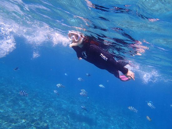 完全少人数制シュノーケリング フルサポートで初めての方にもオススメ◎透明度抜群の海を堪能しよう＜送迎付／沖縄本島＞