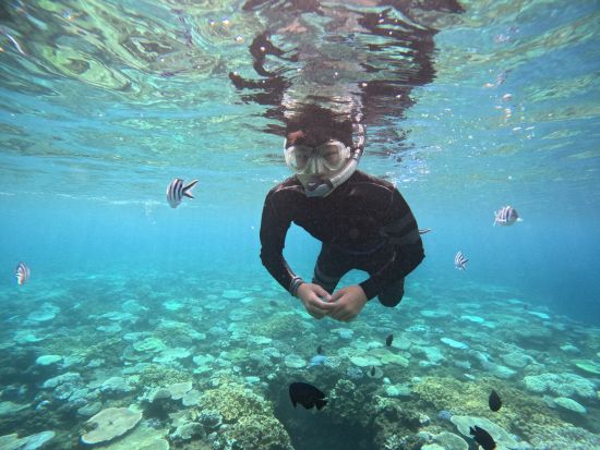 完全少人数制シュノーケリング フルサポートで初めての方にもオススメ◎透明度抜群の海を堪能しよう＜送迎付／沖縄本島＞