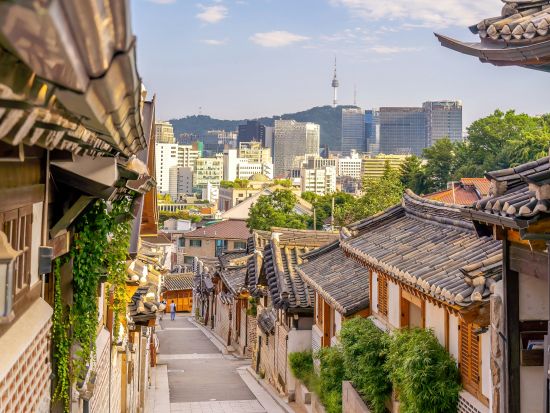 ソウル市内1日観光ツアー景福宮＋守門将交代式＋古宮博物館＋益善洞＋北村＋宗廟＋駱山公園　陳玉華ハルメ元祖タッカンマリ・王妃家サムギョプサル昼食プラン有＜日本語＞