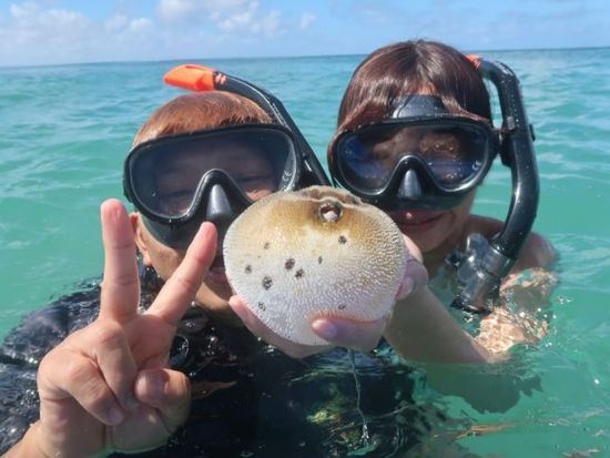 貸切シュノーケリング体験 「奥武島」で感動マリンアクティビティ！1組限定プライベートツアー エサやり体験あり◎＜約1時間30分／沖縄本島南部 奥武島＞