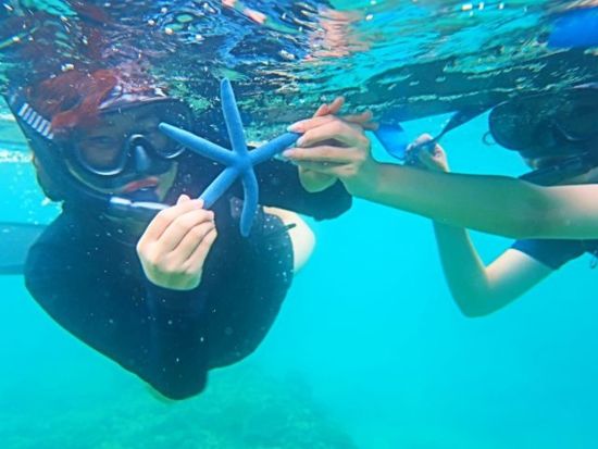 貸切シュノーケリング体験 「奥武島」で感動マリンアクティビティ！1組限定プライベートツアー エサやり体験あり◎＜約1時間30分／沖縄本島南部 奥武島＞