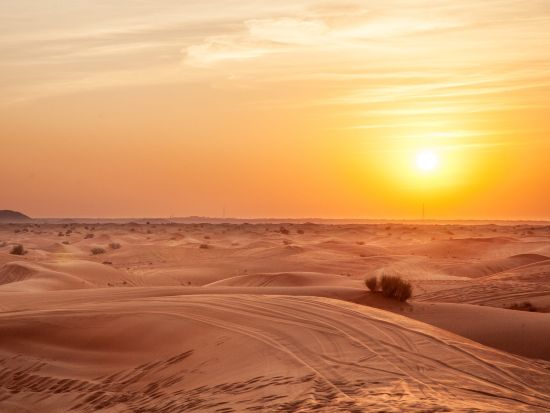 【貸切・混載】日本語ガイドで安心！デザートサファリ　砂丘ドライブ＋BBQディナー＋ファイヤーショー＜午後発／往復送迎付／BBQディナー付／ドバイ発＞