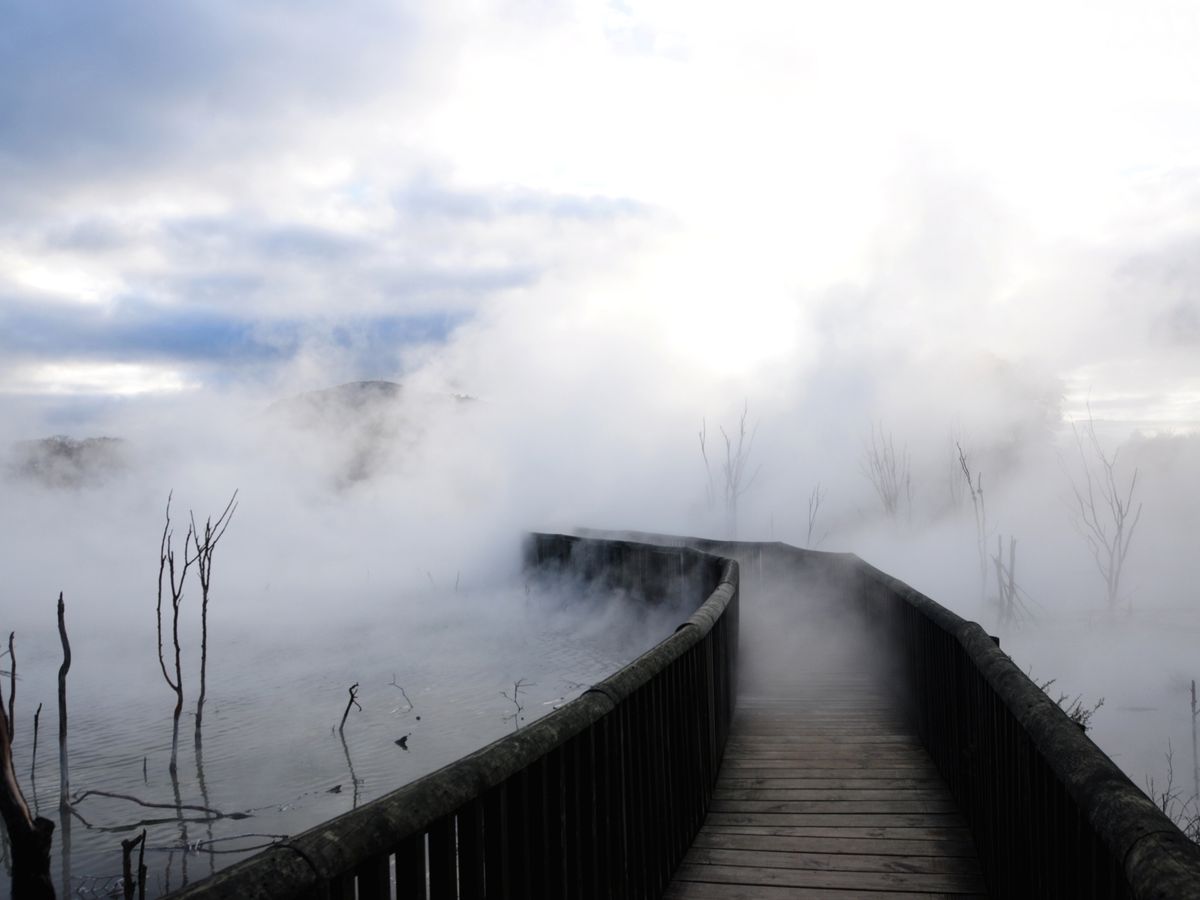 スカイジャンプ 高さ192メートルからジャンプ！＜オークランド発