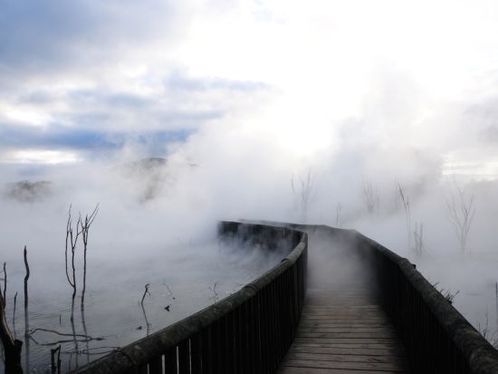 ロトルア＆ホビット村1日ツアー　ロトルア観光＋地熱＆足湯体験＋ホビット村見学＜日本語ガイド／オークランド発着＞