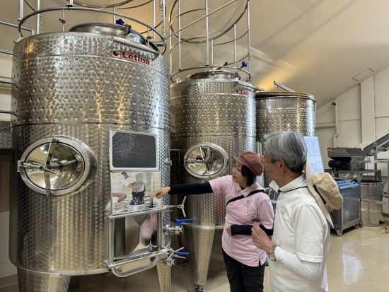 長野 桔梗ヶ原ワインバレー ワインエキスパート資格保持ガイドと行く！5軒のワイナリー＆景観を楽しむウォーキングツアー＜5月～11月／午後／試飲付／塩尻市＞