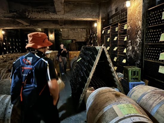 長野 桔梗ヶ原ワインバレー ワインエキスパート資格保持ガイドと行く！5軒のワイナリー＆景観を楽しむウォーキングツアー＜5月～11月／午後／試飲付／塩尻市＞