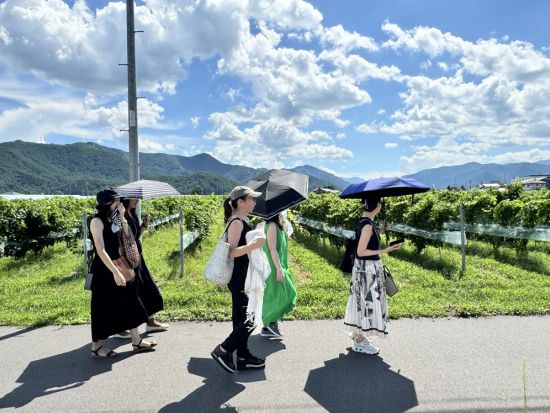 長野 桔梗ヶ原ワインバレー ワインエキスパート資格保持ガイドと行く！5軒のワイナリー＆景観を楽しむウォーキングツアー＜5月～11月／午後／試飲付／塩尻市＞