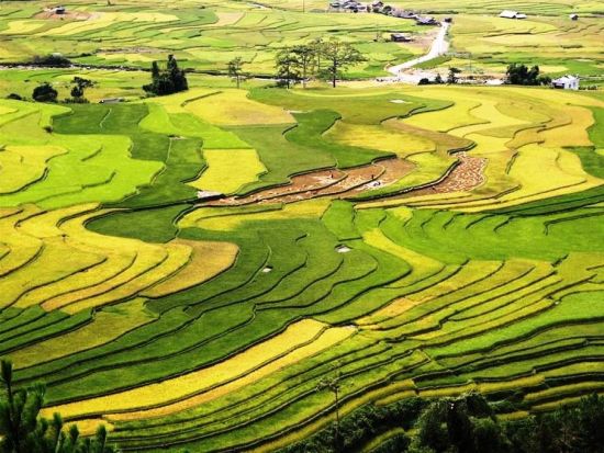 ムーカンチャイ＆サパ2泊3日ツアー　美しいムーカンチャイの棚田とサパ少数民族の村を訪問＜食事付き／日本語ガイド／ハノイ発＞