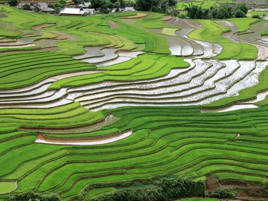 z5665758975851_7242ed22172261269130829b085b90a2