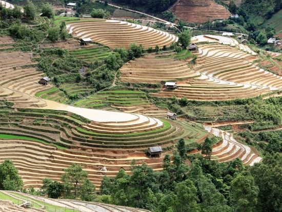 z5665763362026_a971cf698db5a0bc1f5bfc6c274963b7